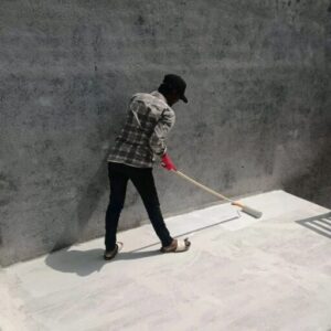 rajshree constructions